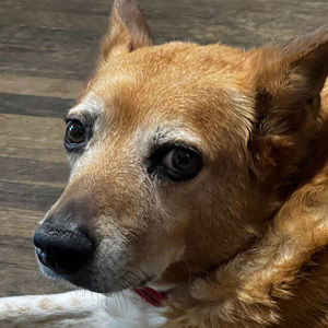 Meet your Posher, Christine